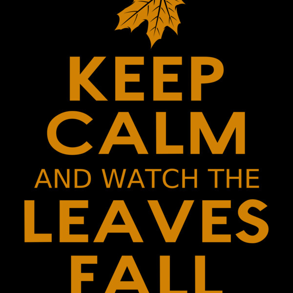 Fall Season 04 Thumbnail