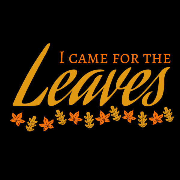 Fall Season 28 Thumbnail