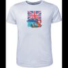 Mens Brushed Tee Shirt Thumbnail