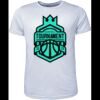 Mens Brushed Tee Shirt Thumbnail