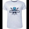 Mens Brushed Tee Shirt Thumbnail
