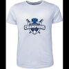 Mens Brushed Tee Shirt Thumbnail