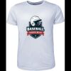 Mens Brushed Tee Shirt Thumbnail