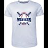 Mens Brushed Tee Shirt Thumbnail