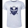 Mens Brushed Tee Shirt Thumbnail