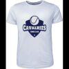 Mens Brushed Tee Shirt Thumbnail