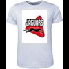 Mens Brushed Tee Shirt Thumbnail