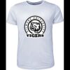 Mens Brushed Tee Shirt Thumbnail