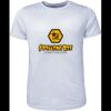 Mens Brushed Tee Shirt Thumbnail