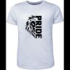 Mens Brushed Tee Shirt Thumbnail