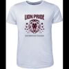 Mens Brushed Tee Shirt Thumbnail