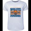 Mens Brushed Tee Shirt Thumbnail