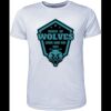 Mens Brushed Tee Shirt Thumbnail