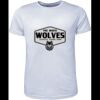 Mens Brushed Tee Shirt Thumbnail