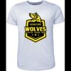 Mens Brushed Tee Shirt Thumbnail