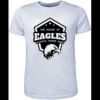 Mens Brushed Tee Shirt Thumbnail