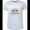 Mens Brushed Tee Shirt Thumbnail