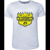 Mens Brushed Tee Shirt Thumbnail