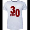 Mens Brushed Tee Shirt Thumbnail